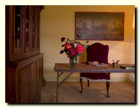 vigna studio